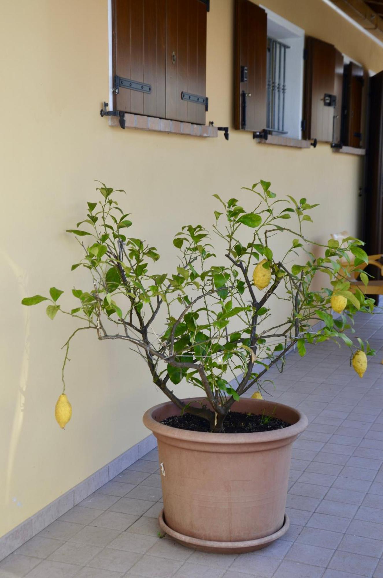Vila A Casa Di Amici Vidor Exteriér fotografie